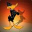 Daffy Duck