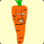 Mr.Carrot