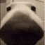 Schnitzel sniffer