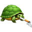 Tortue Fonscar.