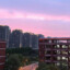 后来的你在哪