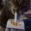 TOGER