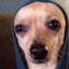Gunther