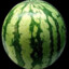 Melon
