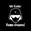 Mr Raidar