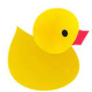 arkadiusz wiśniewski