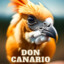 DonCanario