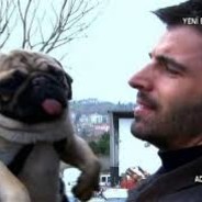 AYGITKOCAMAN