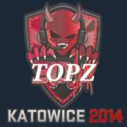 Player avatar