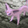 Espeon