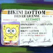 重生之比奇堡海绵宝宝