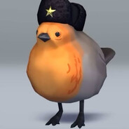 Pootis Bird