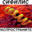 Попка