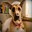 Marmaduke