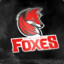 Team_Foxes| Ruca