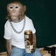 Monke