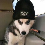 Big Avatar