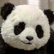 熊猫仔