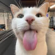 bleh :3