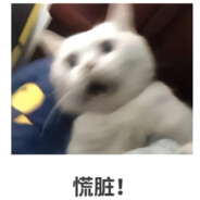 蒙德勒赌场纵火犯