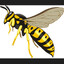 Vosa