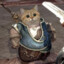 GATO PINQUI :3