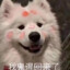 汉堡