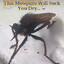 This Mosquito Will Suck You Dry