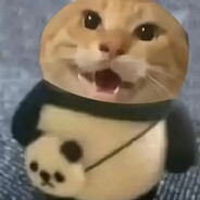 欺负一只小耄耋？