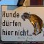 das_Hund