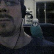 schele - steam id 76561197971089533