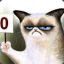 Grumpy Cat