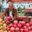pomegranate festival erbil