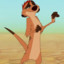 timon