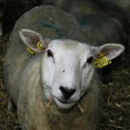 .::MS::. DumbUrK3n.Mp3^d['_']b