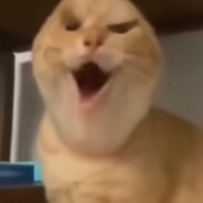 再冰的狼也冰冻不了这