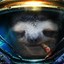 EndangeredSloth