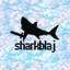 SharkBlaj