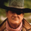 roostercogburn