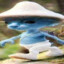 TheSmurfcat