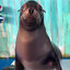 Sea Lion Reggie