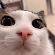 ;]
