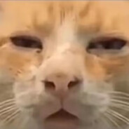 灵感菇哩菇哩哇擦