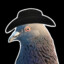 Pigeon Gaming