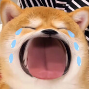 扫码支付两元c4运至警家