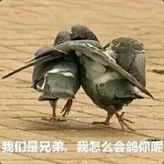 死都不会做猎人