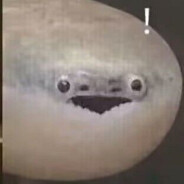 抬头不见低头见仙人