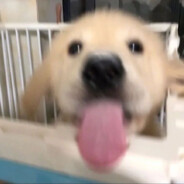 请勿在厨房刷微信步数