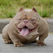 Ð²Ð»Ð°Ð´Ð¸Ðº ÑÐ°ÑƒÐ½Ð´Ð¿Ð°Ð´