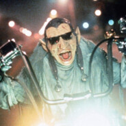 Ржавый Гусак